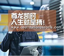 研发能力标题四