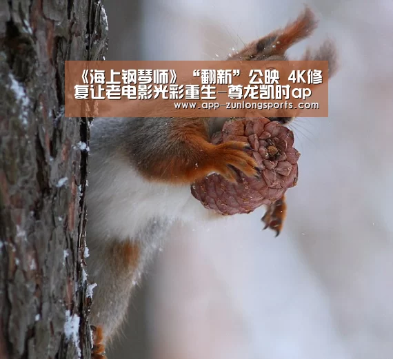 尊龙凯时人生就是搏